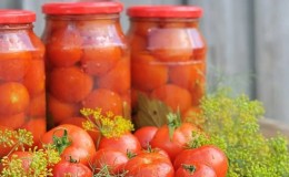 Tomato dalam tin untuk musim sejuk: pilihan resipi terbaik dan petua berguna untuk menyediakan kelainan dengan betul