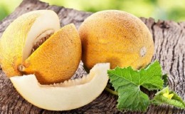 È possibile assumere il melone per la gastrite in varie forme: regole e regolamenti per l'uso