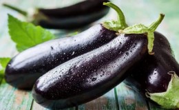 Er aubergine greit for pankreatitt eller ikke: regler og forskrifter for forbruk, akseptable oppskrifter