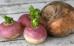 Qual é a diferença entre rutabaga e nabo