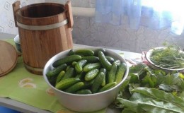 Features of pickling cucumbers for the winter in a barrel: cold pickling recipes