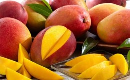 Tot sobre el mango: què és, com es veu i on creix