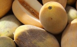 Instruccions pas a pas sobre com triar el meló adequat: consells útils i trucs de vida per trobar la fruita més deliciosa