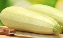 Sådan tilberedes lækker sprød letsaltet zucchini i en pose: en hurtig opskrift på 5 minutter