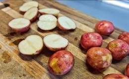 Uma despretensiosa variedade de batata rosa da Crimeia para cultivo em climas quentes