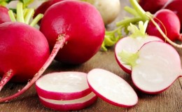 The benefits and harms of radishes for the human body