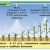 Qu'est-ce que l'alimentation foliaire du blé et quels engrais peuvent être utilisés à ces fins