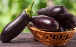 Is it possible to eat eggplants for gastritis: arguments for and against, acceptable methods of consumption