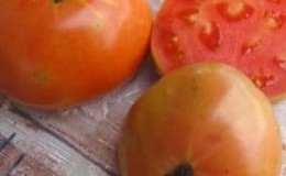 Perkara yang mungkin anda ingat tentang tomato Masterpiece dan cara mendapatkan hasil tuaian yang baik