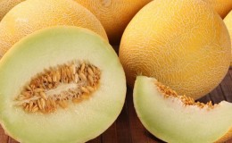 When do melons ripen and how to correctly determine their degree of ripeness?