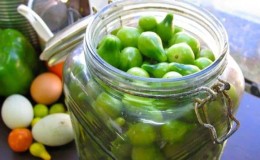 Top 15 best recipes for quick-cooking green tomatoes: prepare delicious tomatoes without hassle