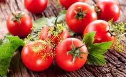 Mengapa merawat tomato dengan hijau dan iodin yang cemerlang?