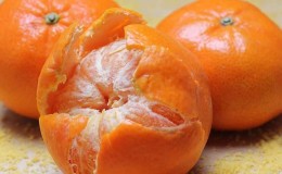 É possível comer tangerinas enquanto se perde peso e como elas afetam o combate ao excesso de peso?