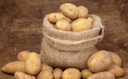 Características de armazenamento de batatas: a que temperatura elas congelam?