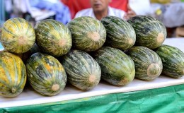 Melone Hasanka profumato e gustoso: come scegliere e coltivare sul proprio appezzamento