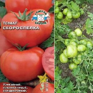 A variedade ideal para obter uma colheita precoce, rica e saborosa de tomate: tomate Skorospelka