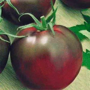 An unusual and aesthetic variety of tomato Black Baron - easy to grow and pleasing with an abundance of harvest