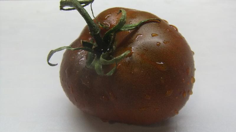 Boerenfavoriet onder de tomaten: Bull's Heart-tomaat, kenmerken en beschrijving van het ras