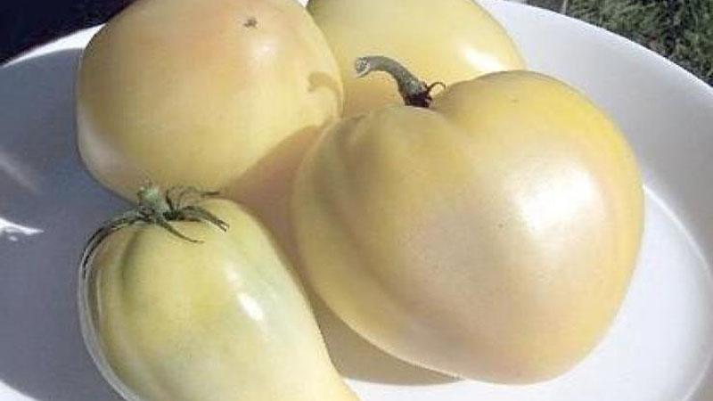 Paborito ng mga magsasaka sa mga kamatis: Bull's Heart tomato, mga katangian at paglalarawan ng iba't