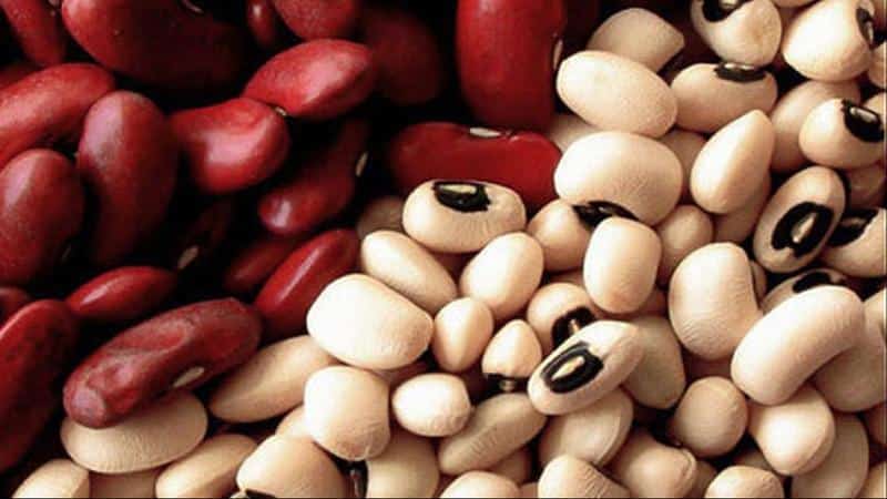 We choose beans by color: which beans are healthier, white or red, and how they differ from each other