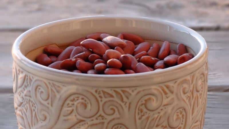 We choose beans by color: which beans are healthier, white or red, and how they differ from each other