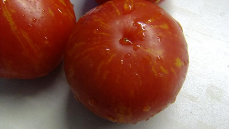 Vilka lågväxande tomatsorter är mest produktiva?