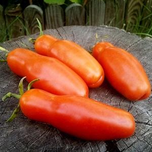 Tomàquet fructífer i fàcil de cultivar La felicitat de les dones: fotos de fruites i secrets de la cura adequada