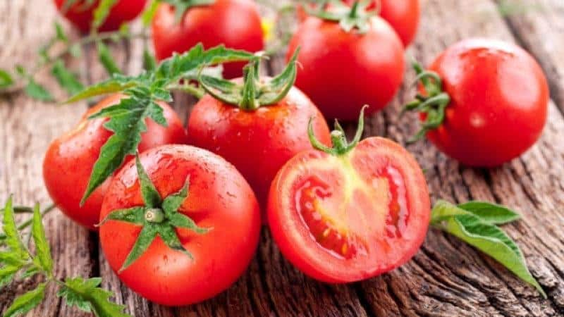 Tomate Gina résistante aux maladies et facile d'entretien - un guide pratique pour la culture