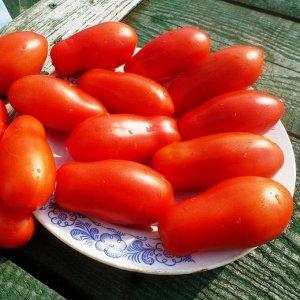 Una excelente variedad para conservas y platos varios - Tomate Lady Fingers: lo cultivamos nosotros mismos