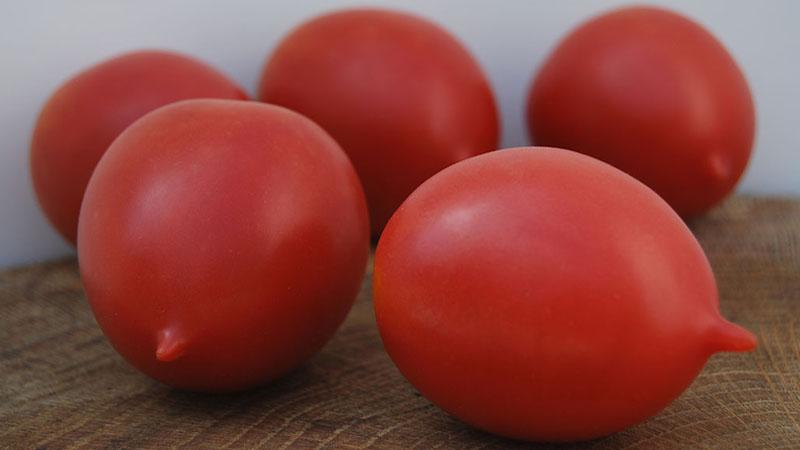 A whole palette in the garden in one variety - the De Barao tomato and the secrets of growing it