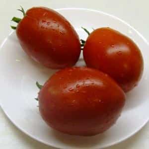 Why are Minusinsk tomatoes valuable?