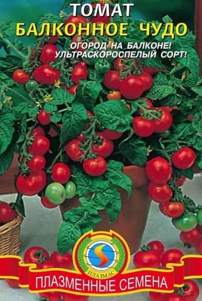 Топ 25 најслађих сорти парадајза и савети о њиховом избору за сваког баштована