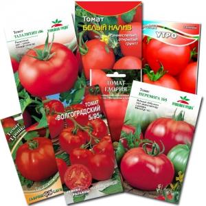 Come spruzzare i pomodori per l'ovaio