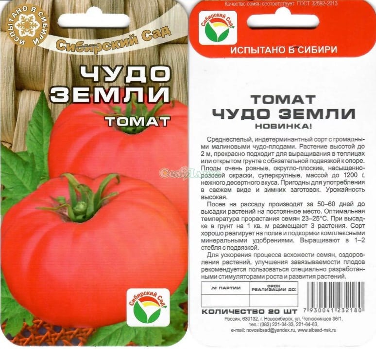 Die 25 süßesten Tomatensorten und Tipps zu deren Auswahl für jeden Gärtner