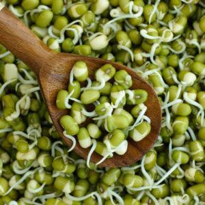 A practical guide on the topic How to germinate peas from experienced gardeners