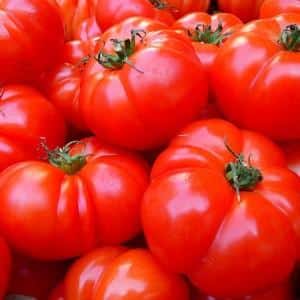 Ramai orang berhujah tentang sama ada tomato adalah buah beri atau sayuran: mari kita fikirkan bersama-sama dan pertimbangkan sudut pandangan yang berbeza