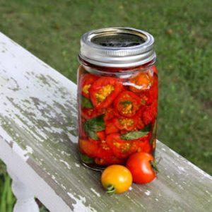 Topp 16 deilige tomatpreparater: tomater i gelatin for vinteren - oppskrifter og matlagingsinstruksjoner