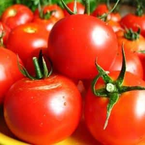 Top 16 penyediaan tomato lazat: tomato dalam gelatin untuk musim sejuk - resipi dan arahan memasak