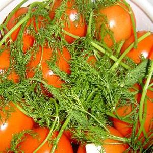 Top 16 de délicieuses préparations de tomates : tomates en gélatine pour l'hiver - recettes et instructions de cuisson