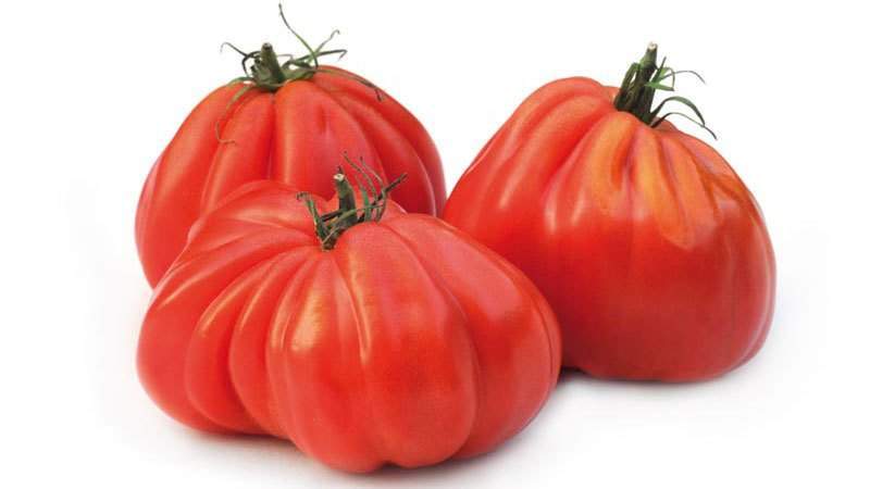 Le migliori varietà di pomodori rosa