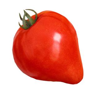 Um gigante saboroso, suculento e aromático da horta - o tomate Coração de Boi