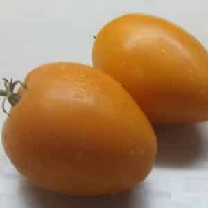 Bagaimana untuk mendapatkan tomato berkualiti Olesya