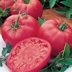 What is good about the Tretyakovsky tomato?