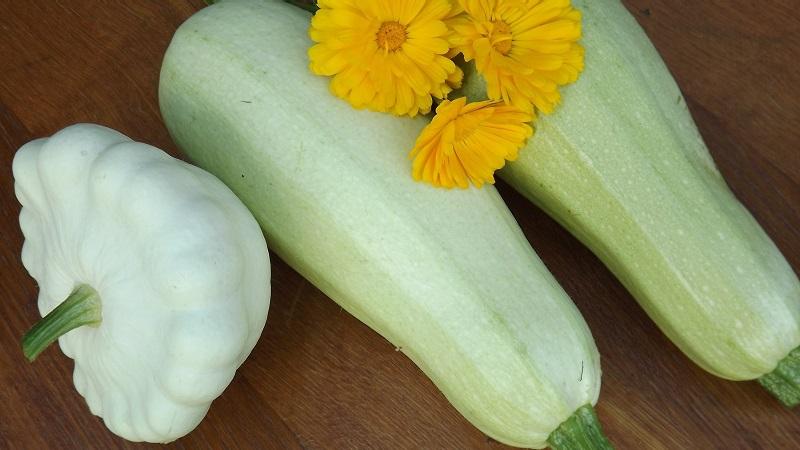 Hva er forskjellen mellom zucchini og squash: forskjellen i utseende, smak og andre parametere