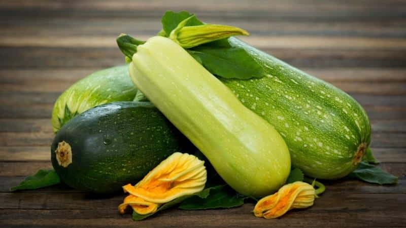 Hva er forskjellen mellom zucchini og squash: forskjellen i utseende, smak og andre parametere