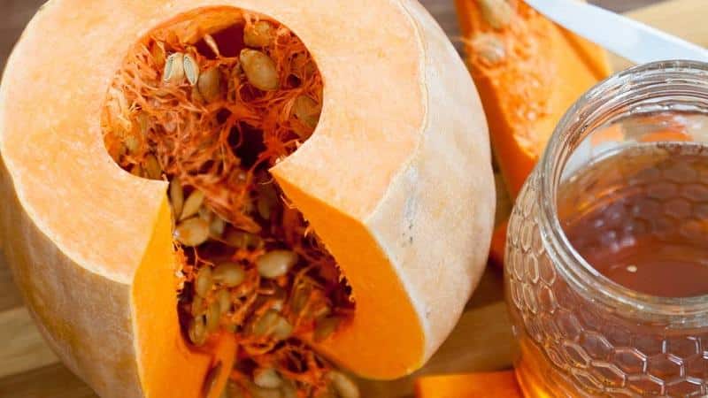 Cos'è il miele di zucca: proprietà medicinali e controindicazioni, metodi per preparare una cura miracolosa