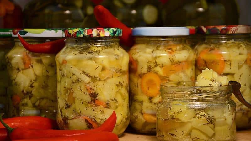 We are preparing stocks of delicious snacks - how to pickle zucchini for the winter: the best recipes and useful tips