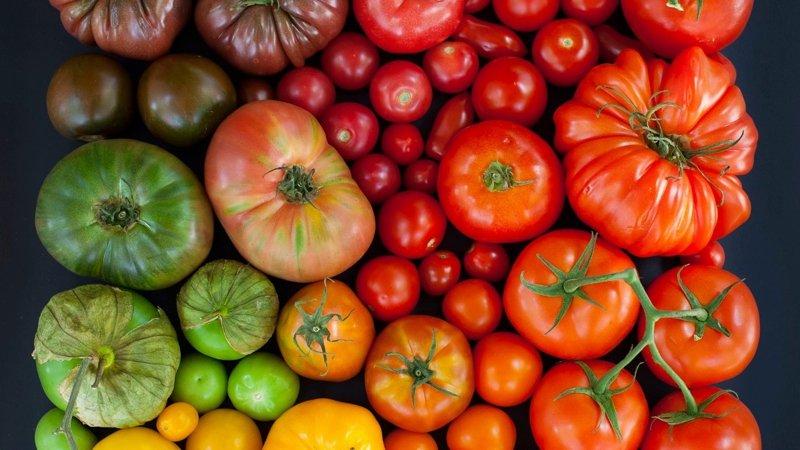 Cómo cocinar tomates secos en casa: diferentes métodos y las recetas más deliciosas