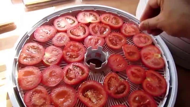 So bereiten Sie getrocknete Tomaten mit Ihren eigenen Händen zu: Eine Auswahl der besten Möglichkeiten, Tomaten zu Hause zuzubereiten