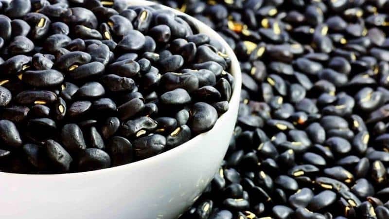 Paano gamitin ang black beans sa pagluluto, cosmetology at katutubong gamot: mga benepisyo at pinsala sa katawan